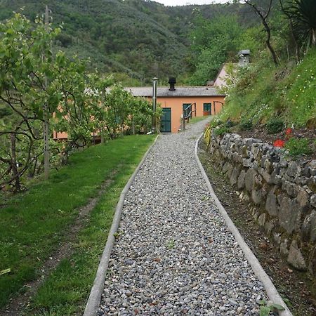 Agriturismo U Muinettu La Spezia Exterior photo