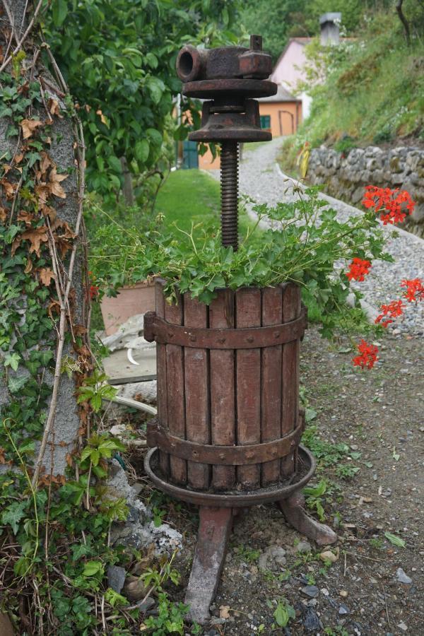 Agriturismo U Muinettu La Spezia Exterior photo