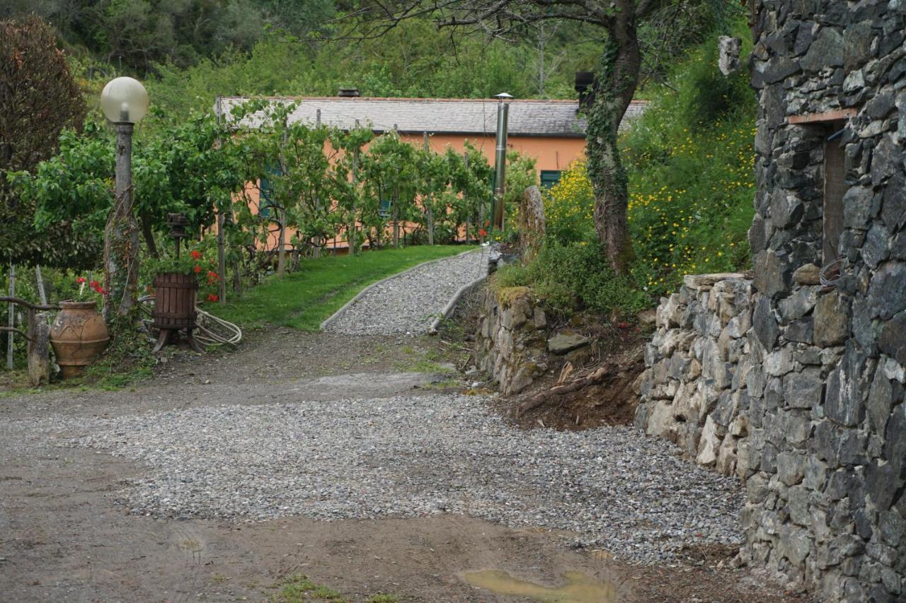 Agriturismo U Muinettu La Spezia Exterior photo